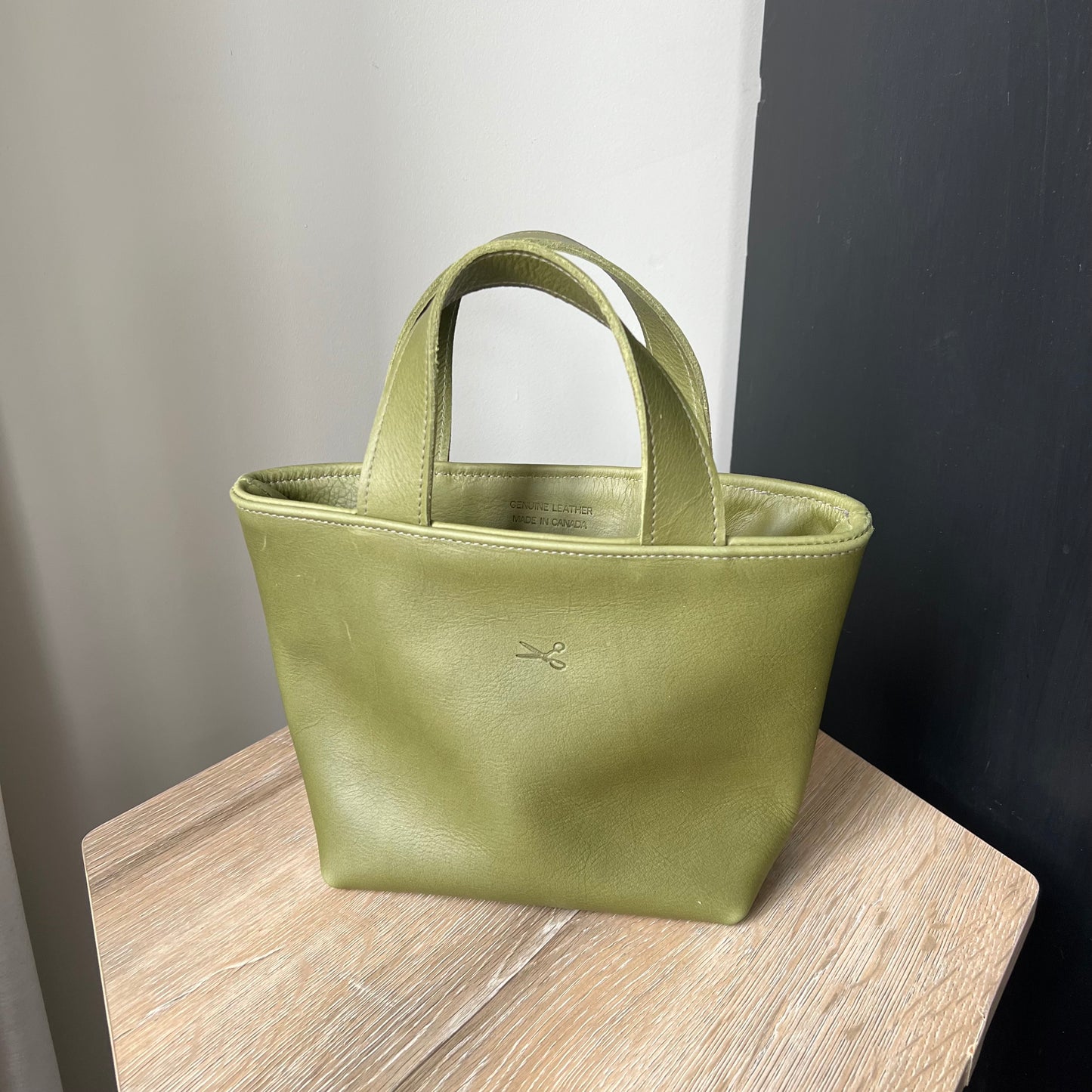 The Mini Leather Bag